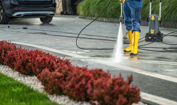 Animal Enclosure Cleaning in Hollins, VA